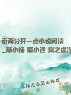 乖再分开一点小说阅读